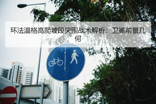 环法温格高爬坡段突围战术解析：卫冕前景几何