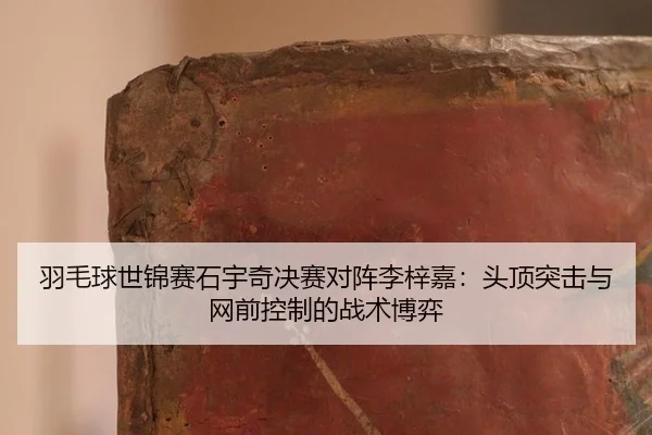 yu-mao-qiu-shi-jin-sai-shi-yu-qi-jue-sai-dui-zhen-li-zi-jia-tou-ding-tu-ji-yu-wang-qian-kong-zhi-de-zhan-shu-bo-yi-2-295.jpg