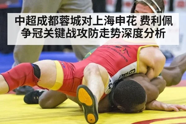 中超成都蓉城对上海申花 费利佩争冠关键战攻防走势深度分析